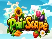 PairScape image
