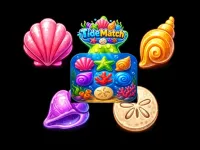 TideMatch image