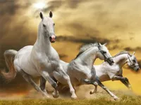 Running Horse Slide image